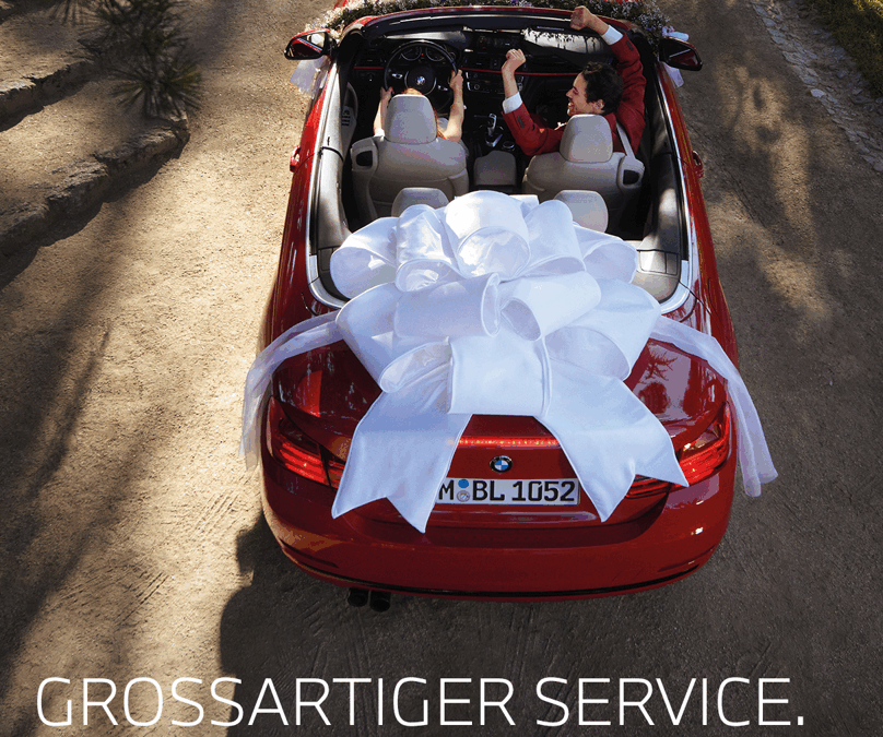 BMW & MINI Service 5+